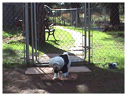 J & H RV Park in Flagstaff AZ offers a dog park for your furry friend